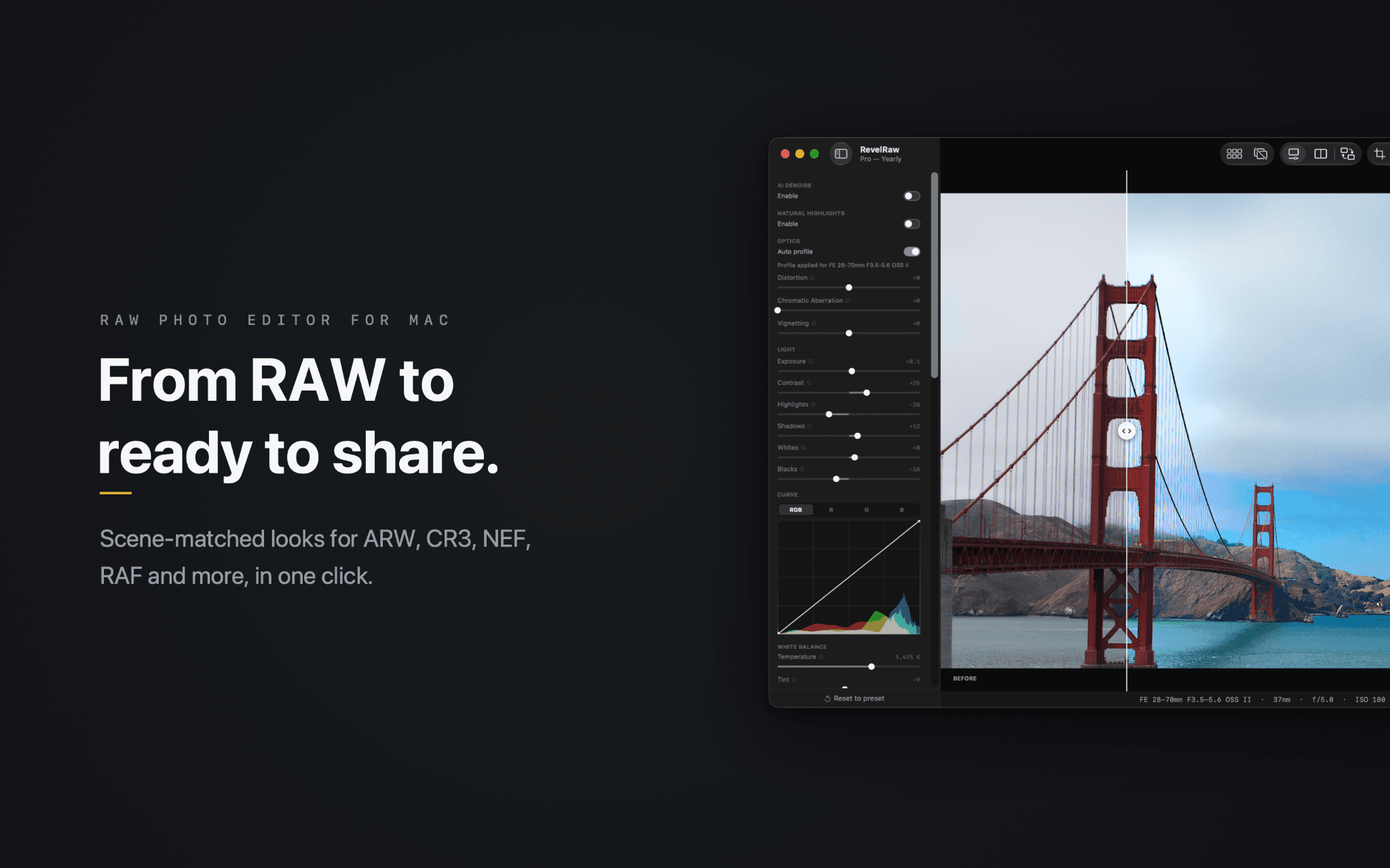 RevelRaw screenshot 1